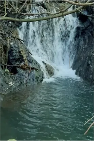 Hoolawa Road Haiku HI 96708