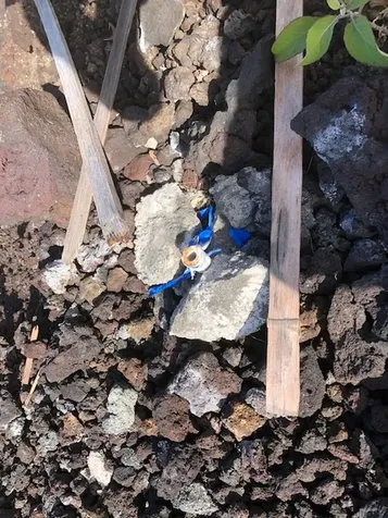 Umi Avenue Captain Cook HI 96704