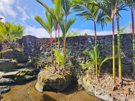 726-A Waianuenue Avenue Hilo HI 96720