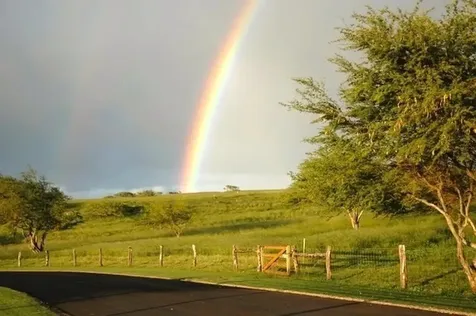 56-135 Pualani Road Hawi HI 96719