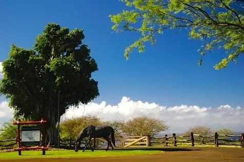 56-135 Pualani Road Hawi HI 96719