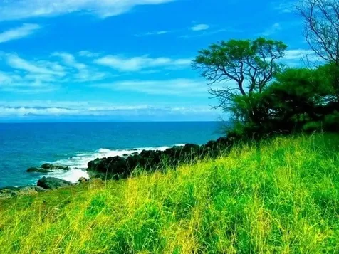 56-135 Pualani Road Hawi HI 96719