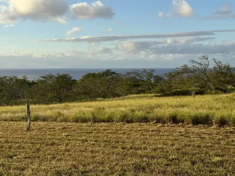 56-135 Pualani Road Hawi HI 96719