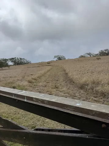 56-135 Pualani Road Hawi HI 96719