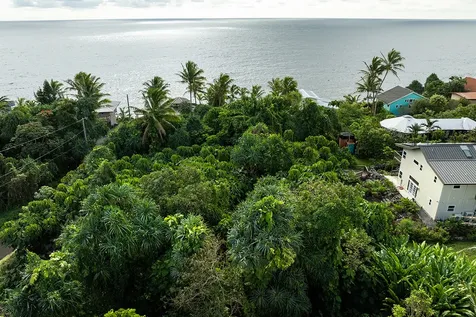 Kamakoa Street Pahoa HI 96778