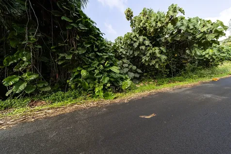 Kamakoa Street Pahoa HI 96778