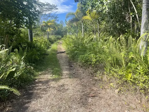 15-910 Paradise Ala Kai Drive Keaau HI 96749