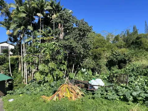 430 Kaiwiki Road Hilo HI 96720