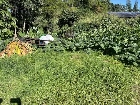 430 Kaiwiki Road Hilo HI 96720