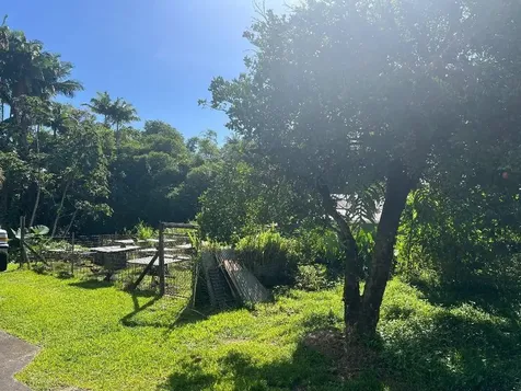 430 Kaiwiki Road Hilo HI 96720