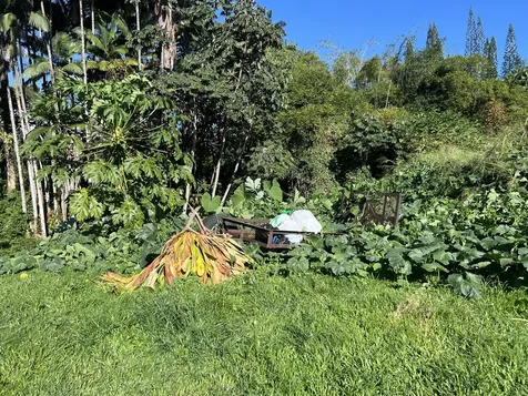 430 Kaiwiki Road Hilo HI 96720