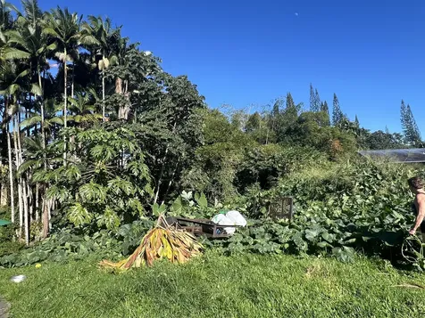 430 Kaiwiki Road Hilo HI 96720