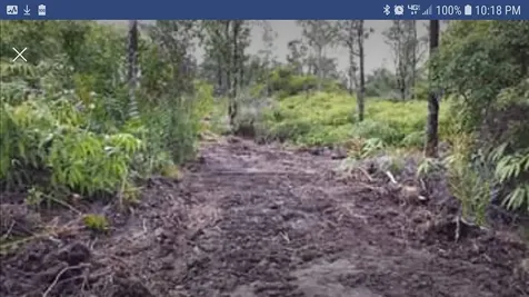 Road 1 (uhini Ana) Mountain View HI 96760