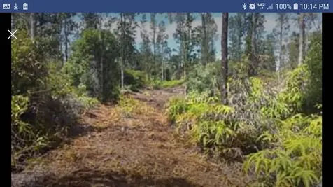 Road 1 (uhini Ana) Mountain View HI 96760