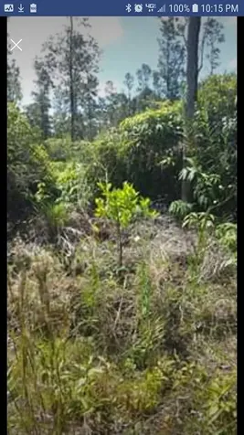 Road 1 (uhini Ana) Mountain View HI 96760