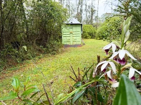 16-326 Kiele Street Kurtistown HI 96760