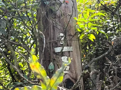 16-326 Kiele Street Kurtistown HI 96760