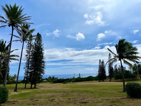 94-1691 Kaulua Street Naalehu HI 96772