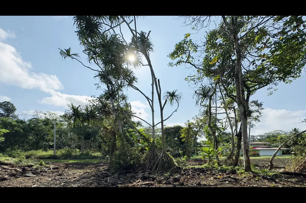 Puhi Street Pahoa HI 96778
