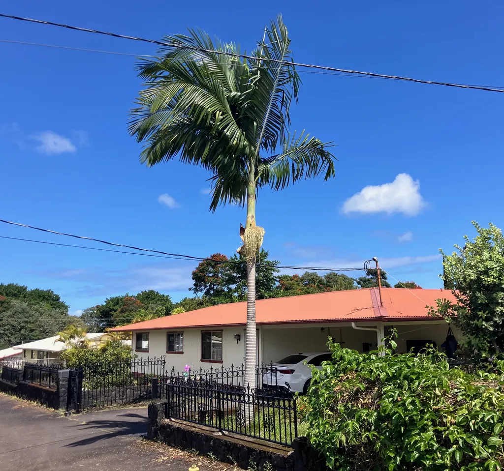 49 Kuhilani Street Hilo HI 96720