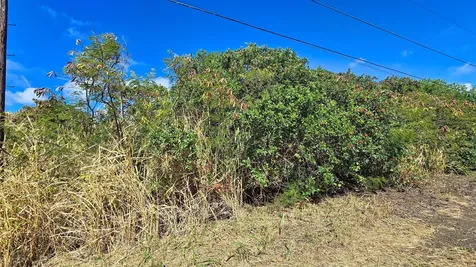 Pele Street Naalehu HI 96772