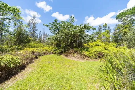 16-1366 Ao Road Mountain View HI 96771