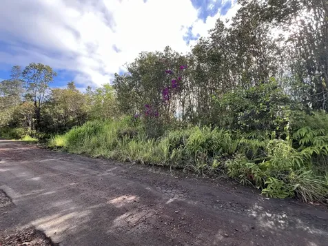 Road 1 (uhini Ana) Mountain View HI 96760