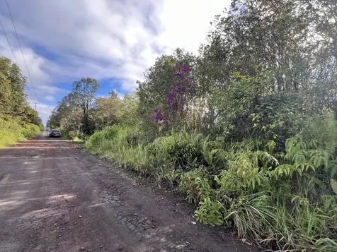 Road 1 (uhini Ana) Mountain View HI 96760