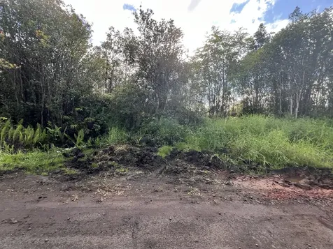 Road 1 (uhini Ana) Mountain View HI 96760