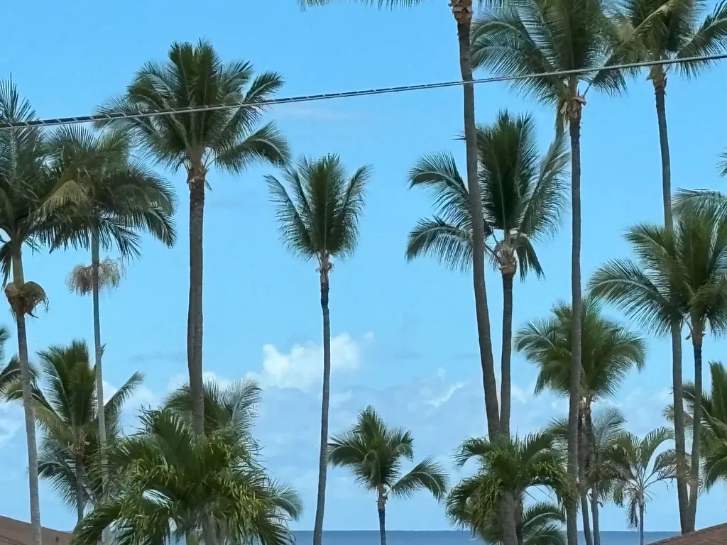 75-6081 Alii Drive Kailua-kona HI 96740