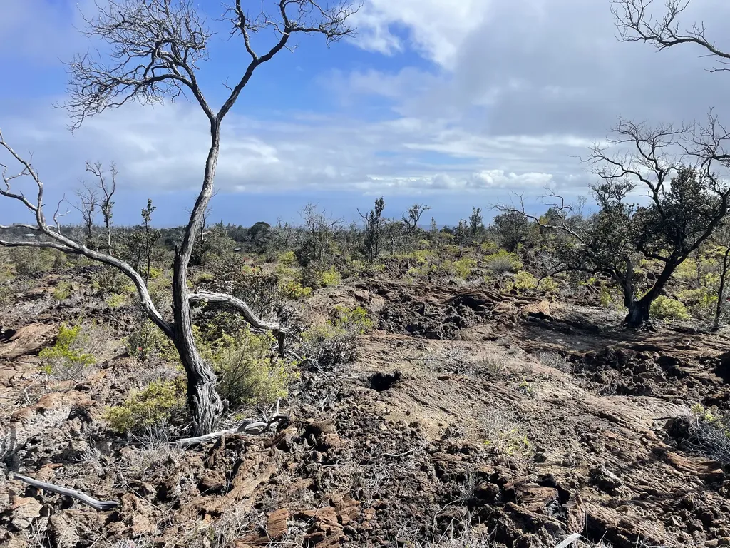 Lei Parkway Ocean View HI 96737
