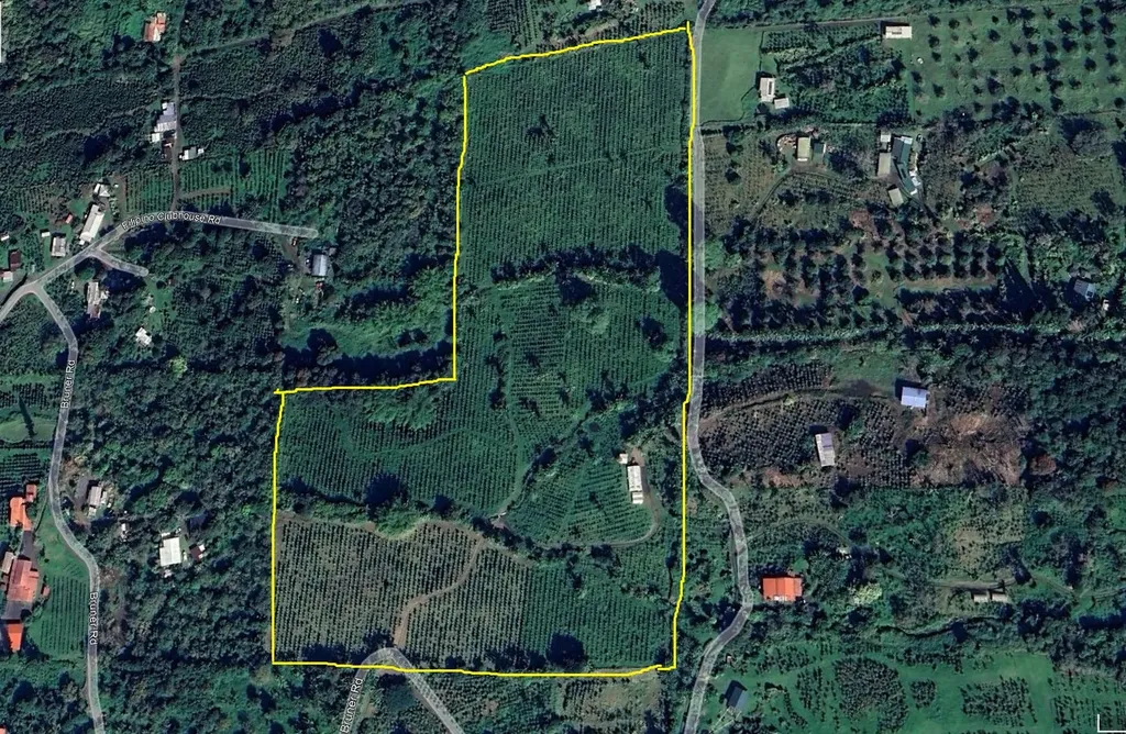 Captain Cook HI 96704