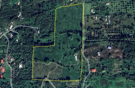 Captain Cook HI 96704