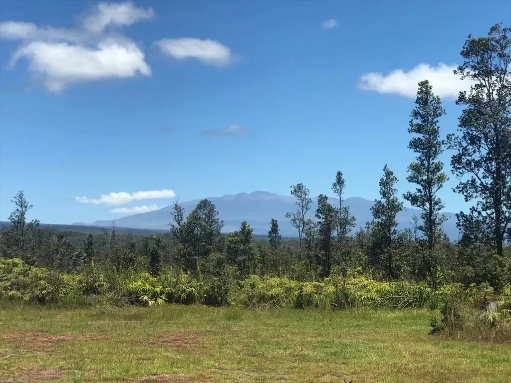 11-3120 Waimaka O Pele Road Mountain View HI 96771
