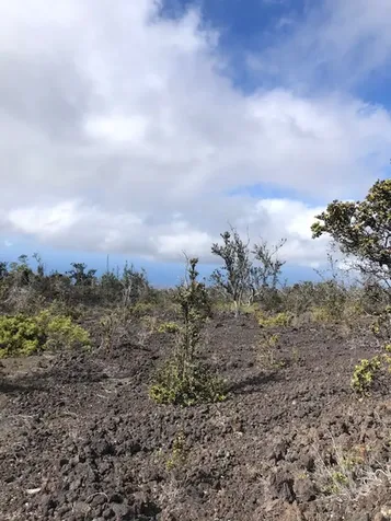 Reef Circle Mauka Ocean View HI 96737