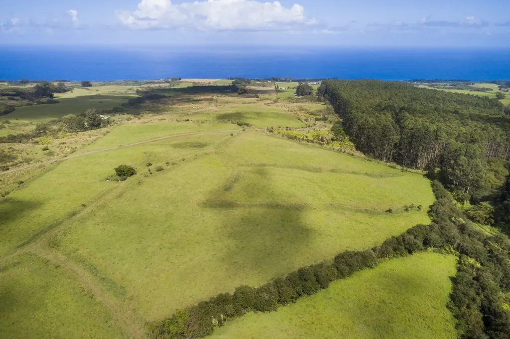 31-580 Lepoloa Road Papaaloa HI 96780