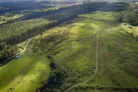 31-540 Lepoloa Road Papaaloa HI 96780