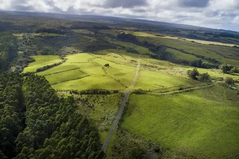 31-540 Lepoloa Road Papaaloa HI 96780