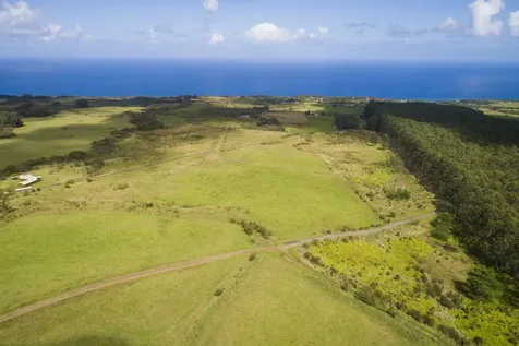 31-540 Lepoloa Road Papaaloa HI 96780