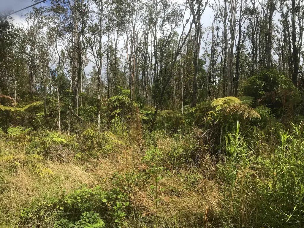 Kaleponi Drive Volcano HI 96785