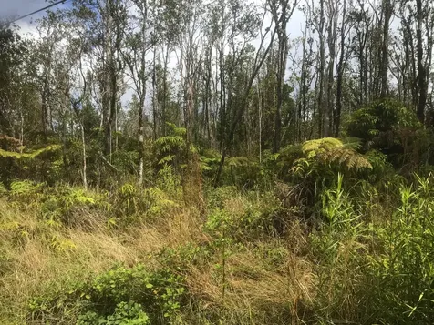 Kaleponi Drive Volcano HI 96785