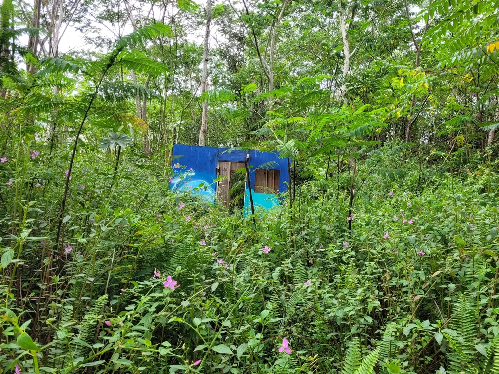 13-3544 Nohea Street Pahoa HI 96778