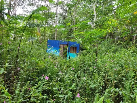 13-3544 Nohea Street Pahoa HI 96778