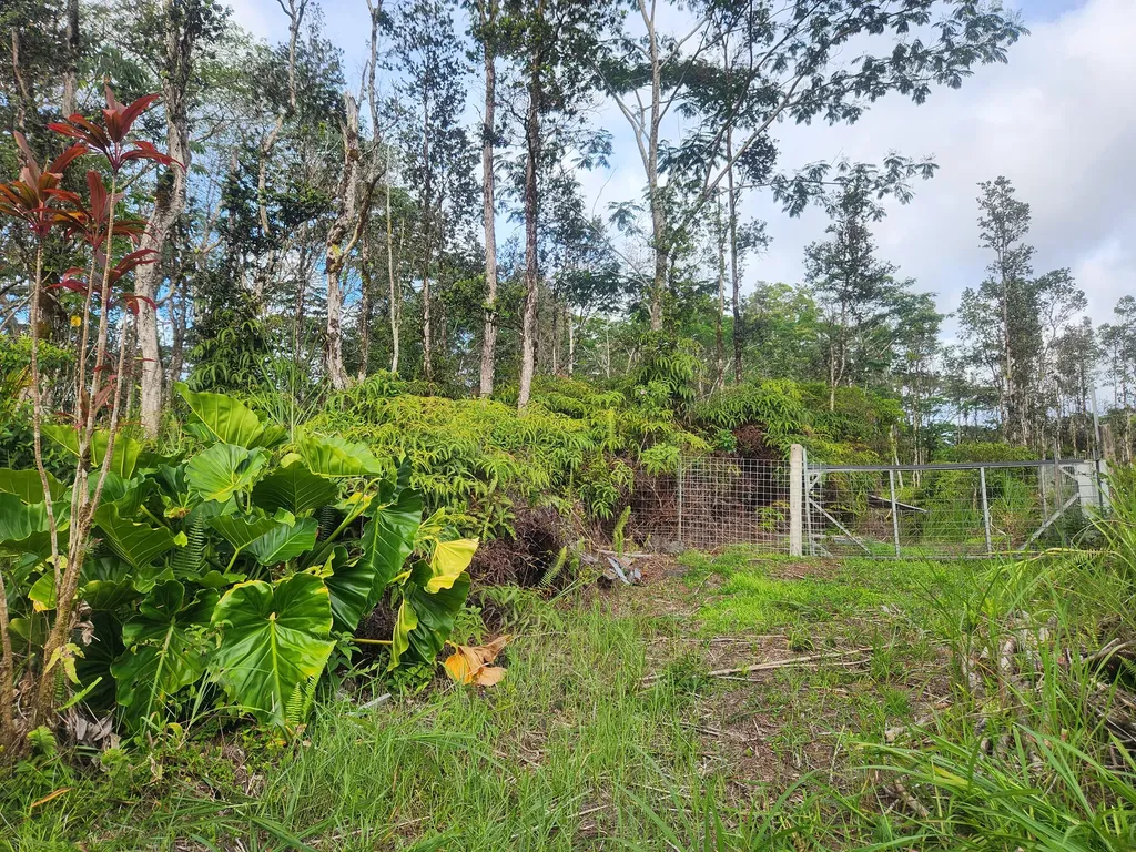 Nanawale Farms Road Pahoa HI 96778