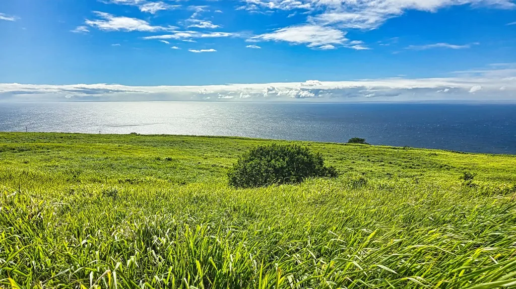Naalehu HI 96772