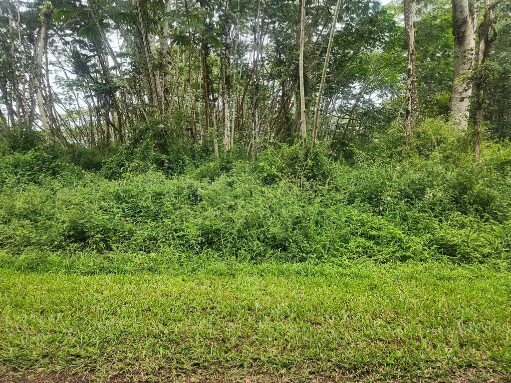Hawaii Road Pahoa HI 96778