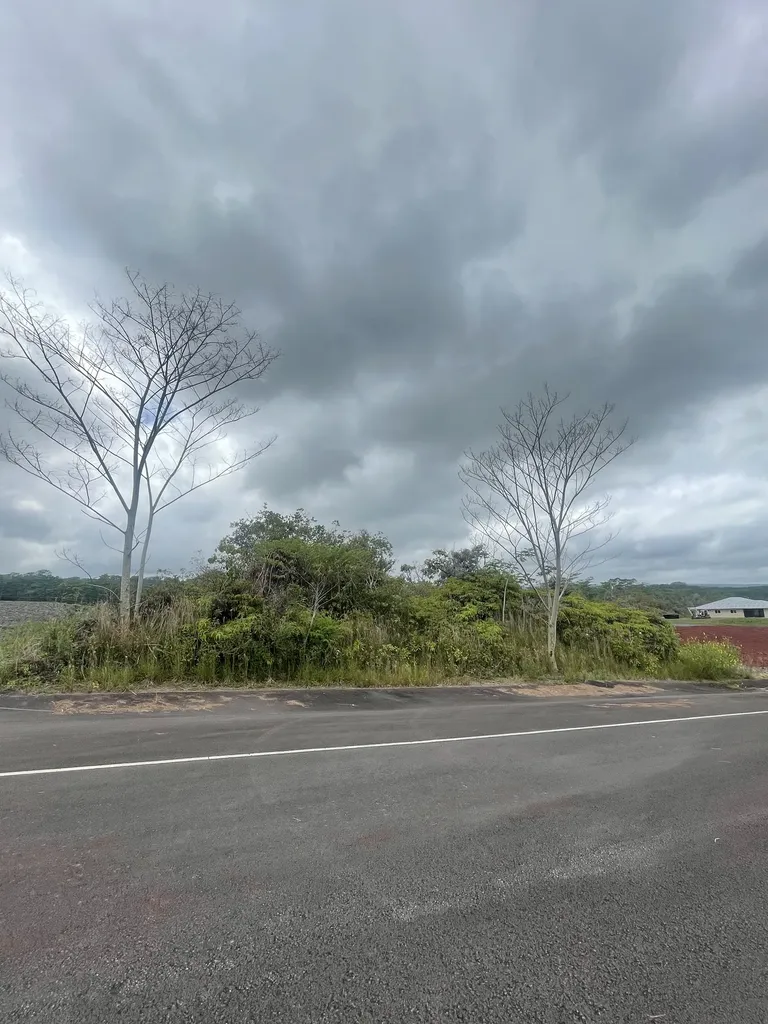 1210 Kukuau Street Hilo HI 96720