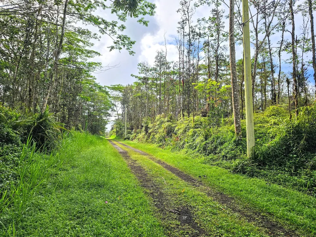 Pikake Road Pahoa HI 96778