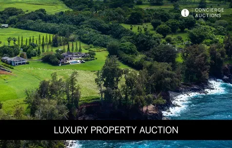 28-3320 Beach Road Pepeekeo HI 96783