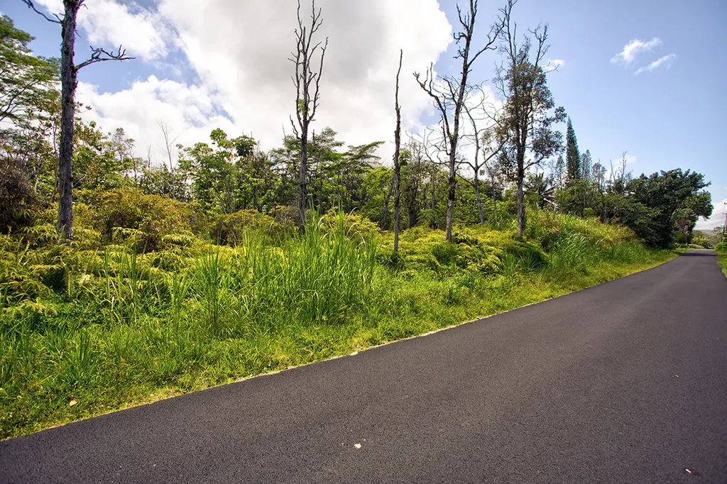 Lalakea Street Pahoa HI 96778